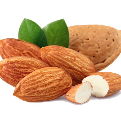 Almond-Free-Download-PNG
